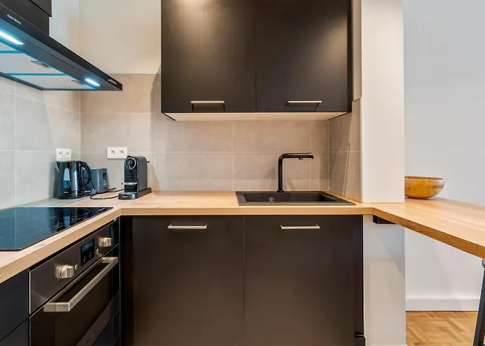 公寓 Fantastically Located Modern With Garage Available 奥斯滕德